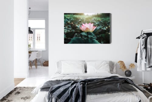 Obraz na płótnie Natura Kwiat lotosu Premium Canvas - obrazek 7