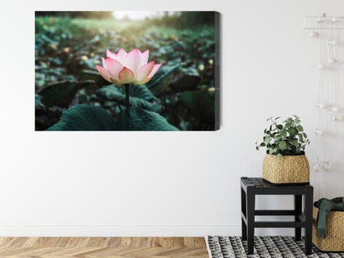 Obraz na płótnie Natura Kwiat lotosu Premium Canvas - obrazek 8