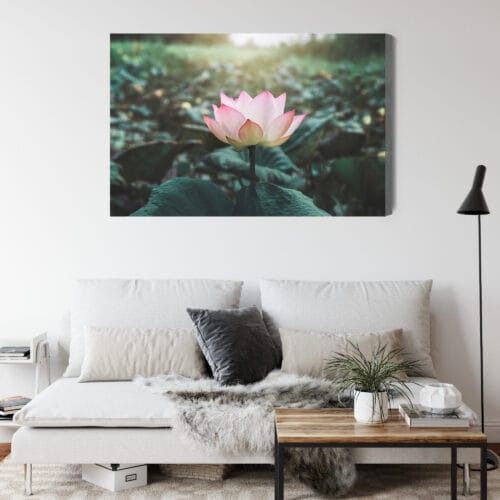 Obraz na płótnie Natura Kwiat lotosu Premium Canvas - obrazek 4