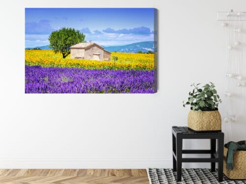 Obraz na płótnie Natura Lawenda i słoneczniki Premium Canvas - obrazek 8
