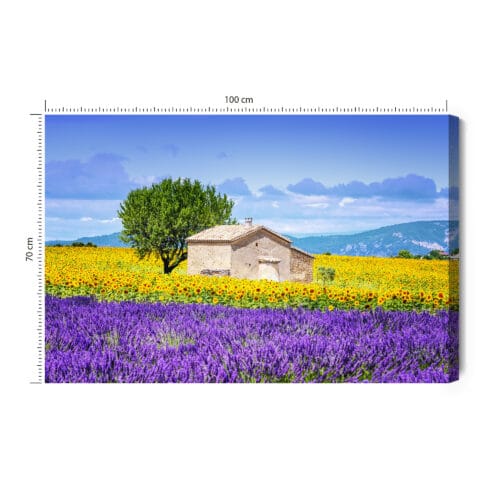 Obraz na płótnie Natura Lawenda i słoneczniki Premium Canvas