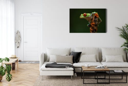 Obraz na płótnie Zwierzęta Tropikalna żaba Premium Canvas - obrazek 6