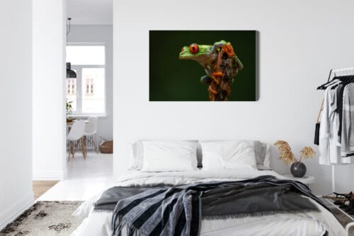 Obraz na płótnie Zwierzęta Tropikalna żaba Premium Canvas - obrazek 7
