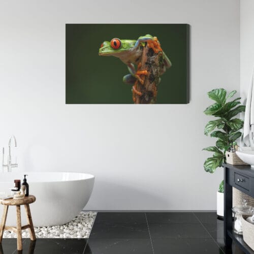 Obraz na płótnie Zwierzęta Tropikalna żaba Premium Canvas - obrazek 5