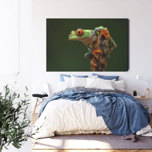 Obraz na płótnie Zwierzęta Tropikalna żaba Premium Canvas - obrazek 3