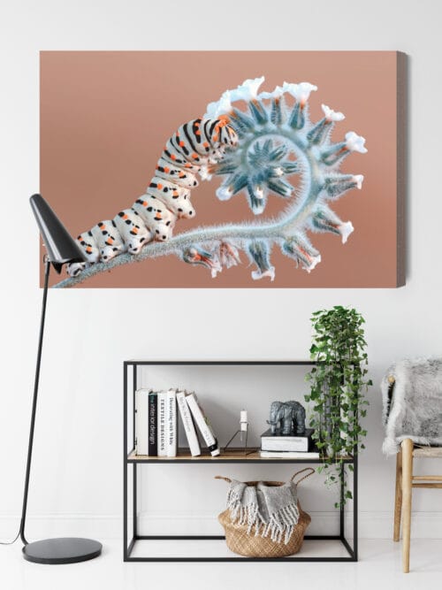 Obraz na płótnie Natura Gąsienica na roślinie Premium Canvas - obrazek 9