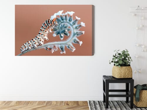 Obraz na płótnie Natura Gąsienica na roślinie Premium Canvas - obrazek 8