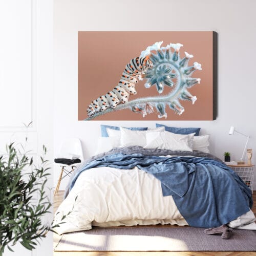 Obraz na płótnie Natura Gąsienica na roślinie Premium Canvas - obrazek 3