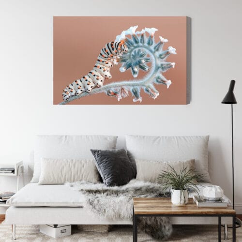 Obraz na płótnie Natura Gąsienica na roślinie Premium Canvas - obrazek 4