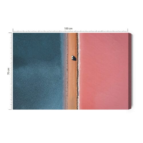 Obraz na płótnie Natura między różowym a niebieskim jeziorem Premium Canvas