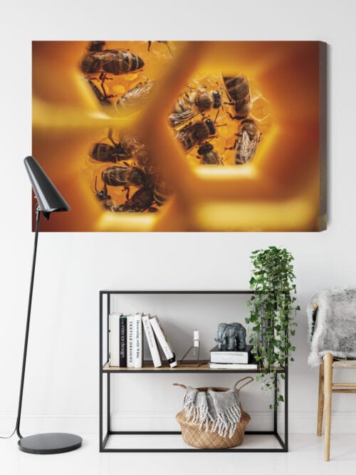 Obraz na płótnie Natura Pszczoły w plastrze Premium Canvas - obrazek 9