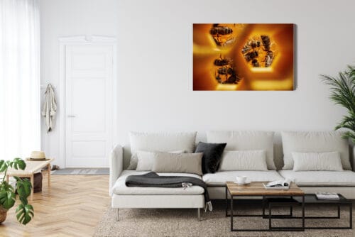 Obraz na płótnie Natura Pszczoły w plastrze Premium Canvas - obrazek 6