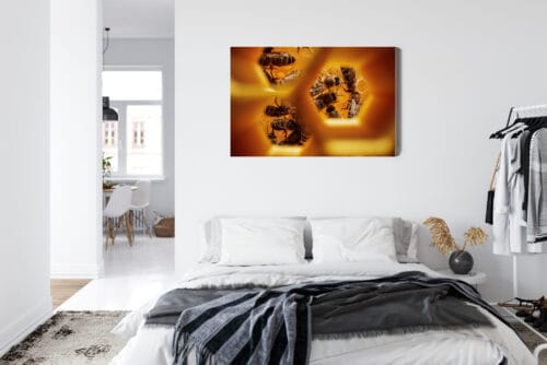 Obraz na płótnie Natura Pszczoły w plastrze Premium Canvas - obrazek 7