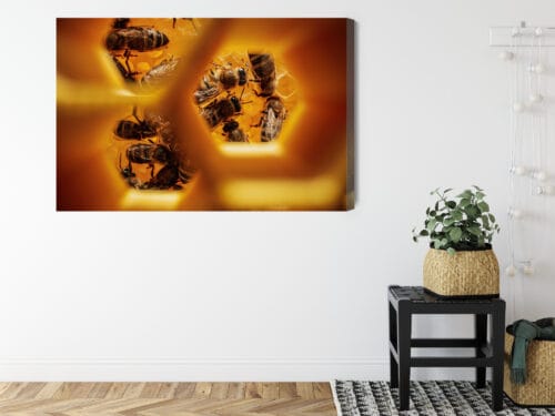 Obraz na płótnie Natura Pszczoły w plastrze Premium Canvas - obrazek 8