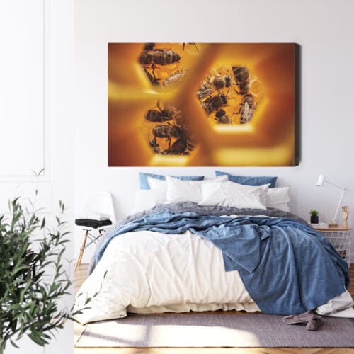 Obraz na płótnie Natura Pszczoły w plastrze Premium Canvas - obrazek 3
