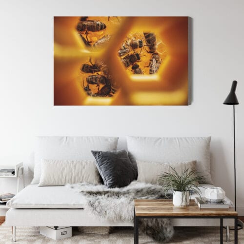 Obraz na płótnie Natura Pszczoły w plastrze Premium Canvas - obrazek 4
