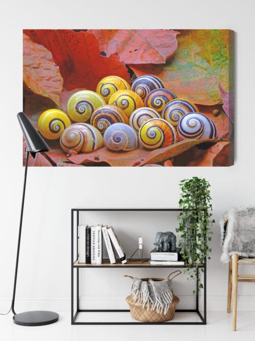 Obraz na płótnie Natura Muszle na liściach Premium Canvas - obrazek 9