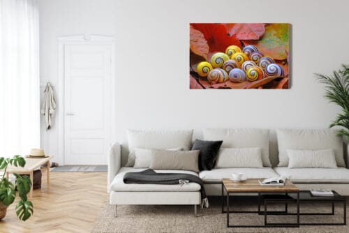 Obraz na płótnie Natura Muszle na liściach Premium Canvas - obrazek 6