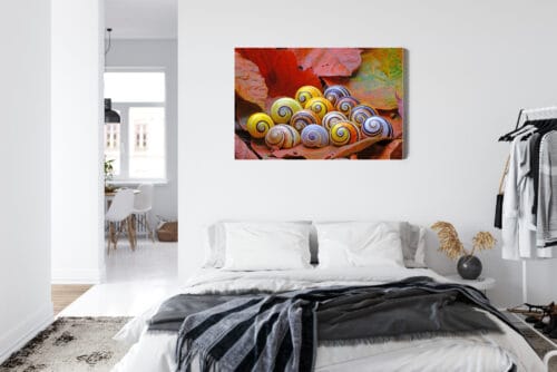 Obraz na płótnie Natura Muszle na liściach Premium Canvas - obrazek 7