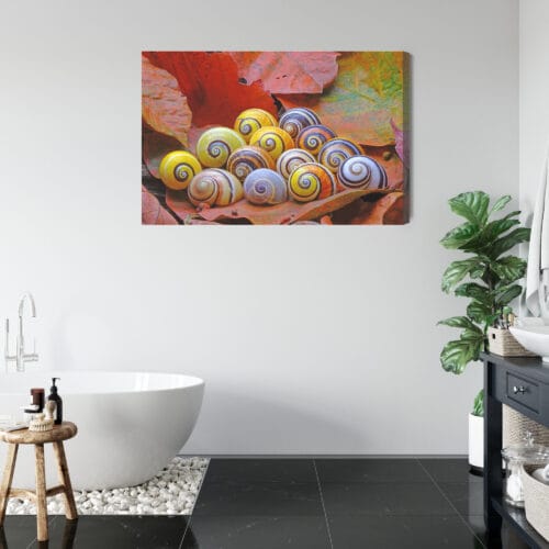 Obraz na płótnie Natura Muszle na liściach Premium Canvas - obrazek 5