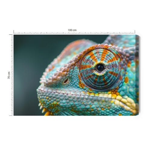 Obraz na płótnie Zwierzęta Kameleon z bliska Premium Canvas