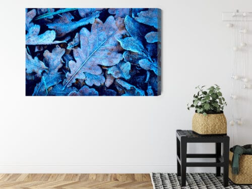 Obraz na płótnie Natura Liście z szronem Premium Canvas - obrazek 8