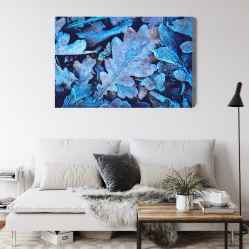 Obraz na płótnie Natura Liście z szronem Premium Canvas - obrazek 4
