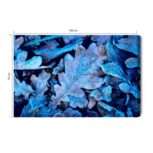 Obraz na płótnie Natura Liście z szronem Premium Canvas