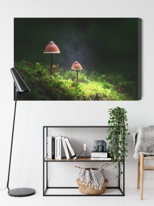 Obraz na płótnie Natura Dwa grzyby w lesie Premium Canvas - obrazek 9
