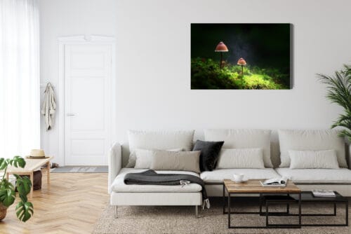 Obraz na płótnie Natura Dwa grzyby w lesie Premium Canvas - obrazek 6