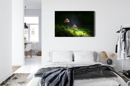 Obraz na płótnie Natura Dwa grzyby w lesie Premium Canvas - obrazek 7