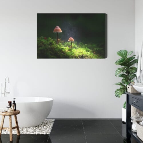 Obraz na płótnie Natura Dwa grzyby w lesie Premium Canvas - obrazek 5