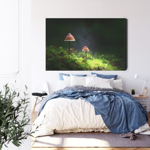 Obraz na płótnie Natura Dwa grzyby w lesie Premium Canvas - obrazek 3