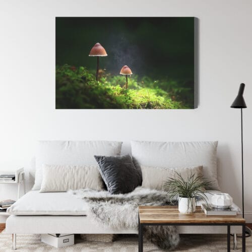 Obraz na płótnie Natura Dwa grzyby w lesie Premium Canvas - obrazek 4
