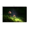 Obraz na płótnie Natura Dwa grzyby w lesie Premium Canvas