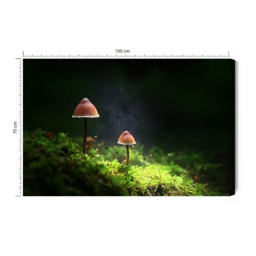 Obraz na płótnie Natura Dwa grzyby w lesie Premium Canvas
