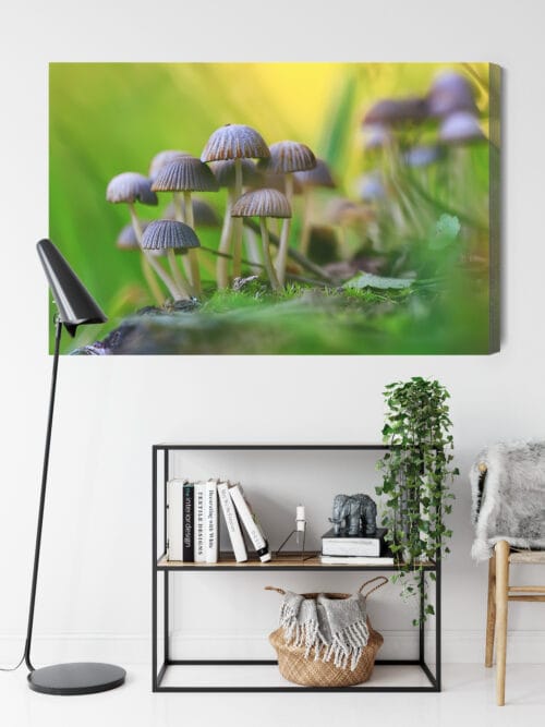 Obraz na płótnie Natura Grzyby w zielonym lesie Premium Canvas - obrazek 9
