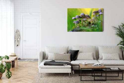Obraz na płótnie Natura Grzyby w zielonym lesie Premium Canvas - obrazek 6