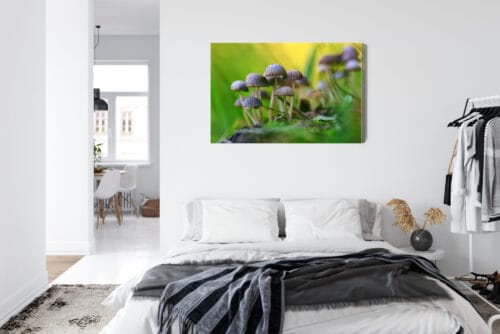 Obraz na płótnie Natura Grzyby w zielonym lesie Premium Canvas - obrazek 7