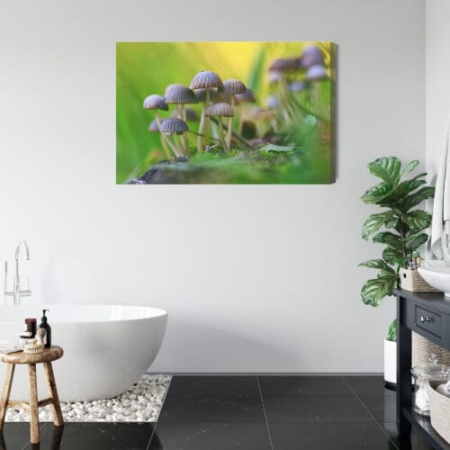 Obraz na płótnie Natura Grzyby w zielonym lesie Premium Canvas - obrazek 5