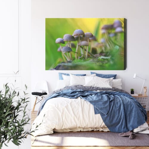 Obraz na płótnie Natura Grzyby w zielonym lesie Premium Canvas - obrazek 3
