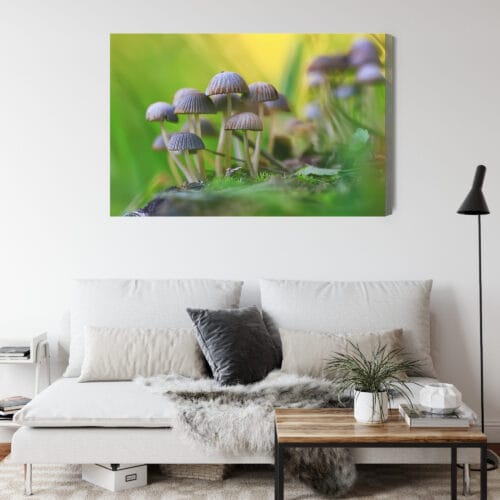 Obraz na płótnie Natura Grzyby w zielonym lesie Premium Canvas - obrazek 4