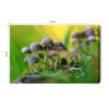 Obraz na płótnie Natura Grzyby w zielonym lesie Premium Canvas