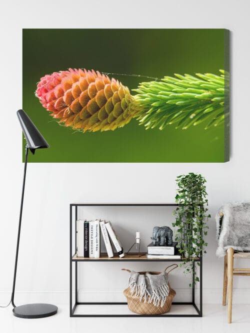 Obraz na płótnie Natura Szyszka na zielonej gałęzi świerku Premium Canvas - obrazek 9