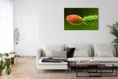 Obraz na płótnie Natura Szyszka na zielonej gałęzi świerku Premium Canvas - obrazek 6