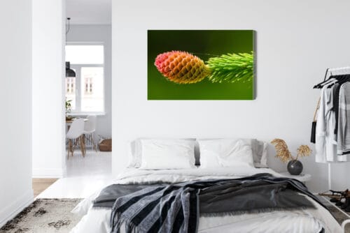 Obraz na płótnie Natura Szyszka na zielonej gałęzi świerku Premium Canvas - obrazek 7