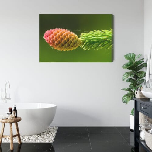 Obraz na płótnie Natura Szyszka na zielonej gałęzi świerku Premium Canvas - obrazek 5