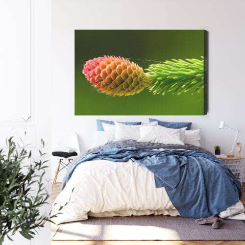 Obraz na płótnie Natura Szyszka na zielonej gałęzi świerku Premium Canvas - obrazek 3