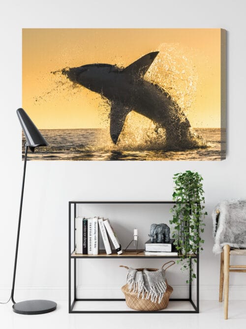 Obraz na płótnie Natura Wyskakujący rekin Premium Canvas - obrazek 9