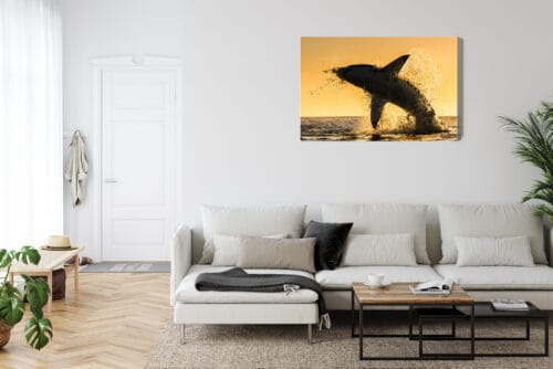 Obraz na płótnie Natura Wyskakujący rekin Premium Canvas - obrazek 6